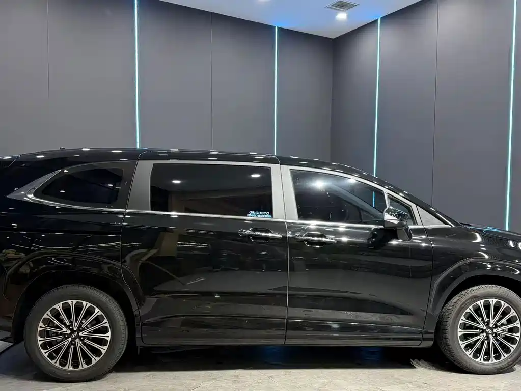 Hyundai Custo — миниатюра 5