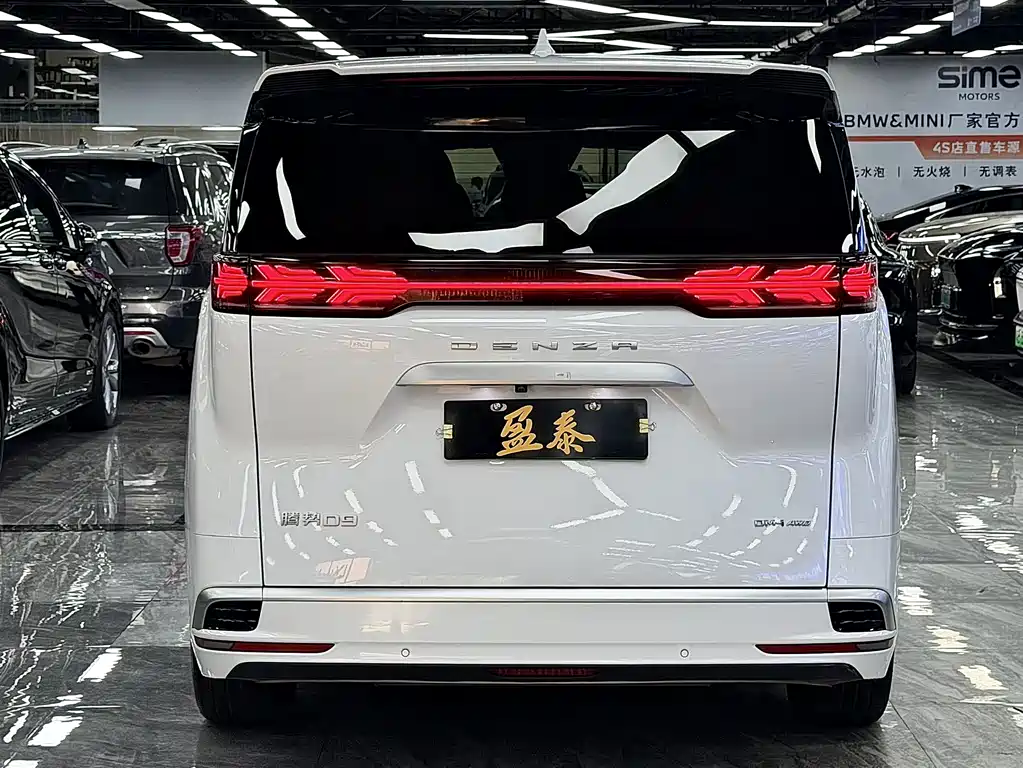 Denza Denza D9 — миниатюра 6