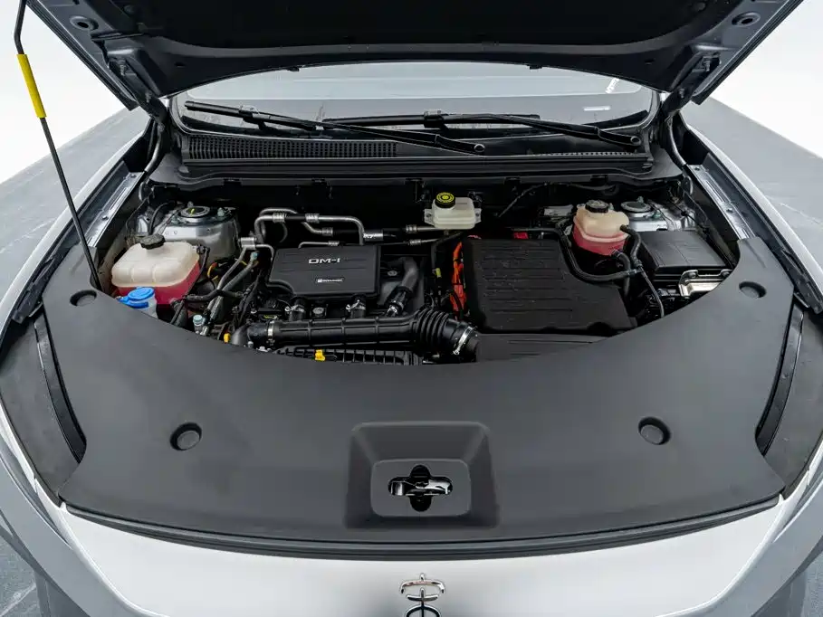 BYD Pro New Energy — миниатюра 18