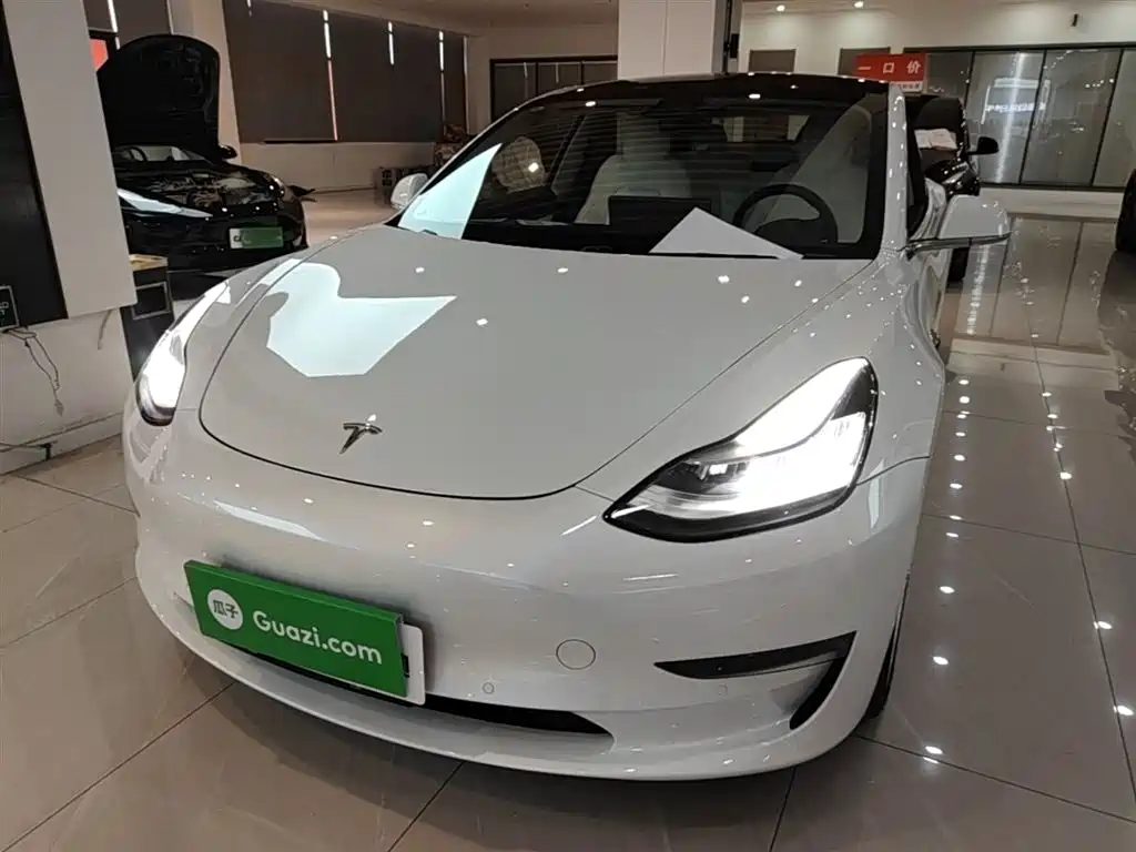 Tesla Model 3 2019