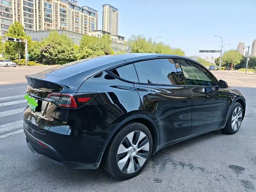 Tesla Model Y — миниатюра 7