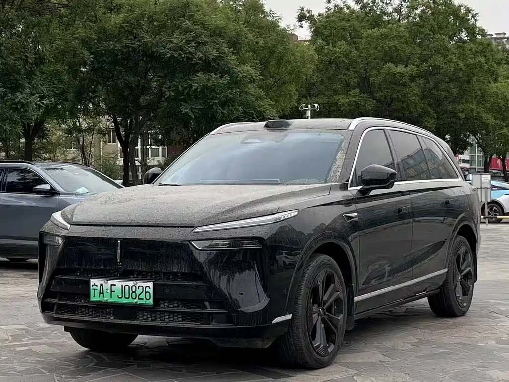 Wey Wey Lanshan 2024