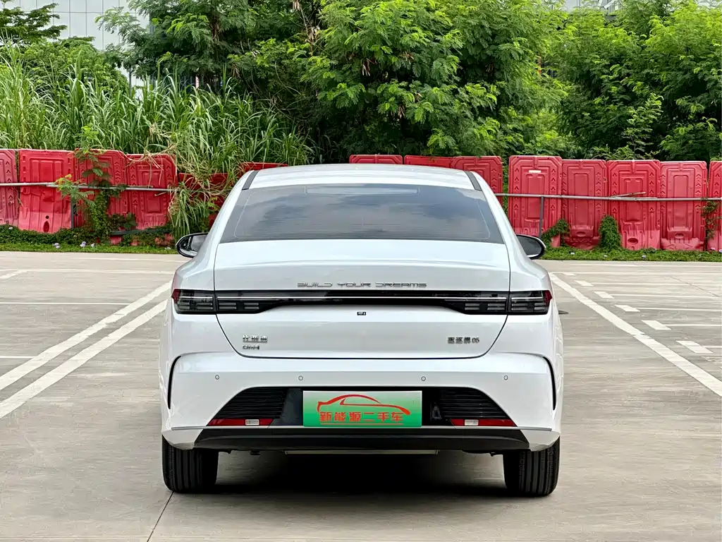BYD Destroyer 05 2023 Champion DM-i 55KM Luxury