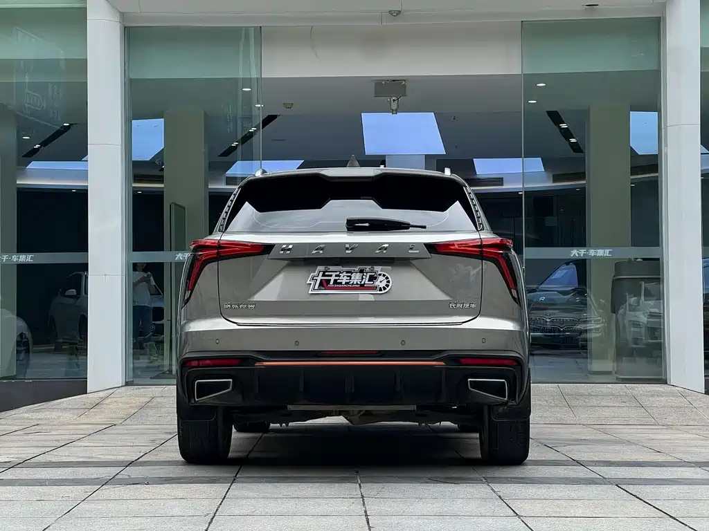 Haval Shenshou — миниатюра 5