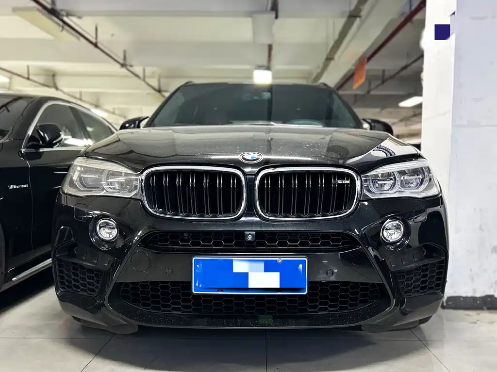 BMW X5 M — миниатюра 2