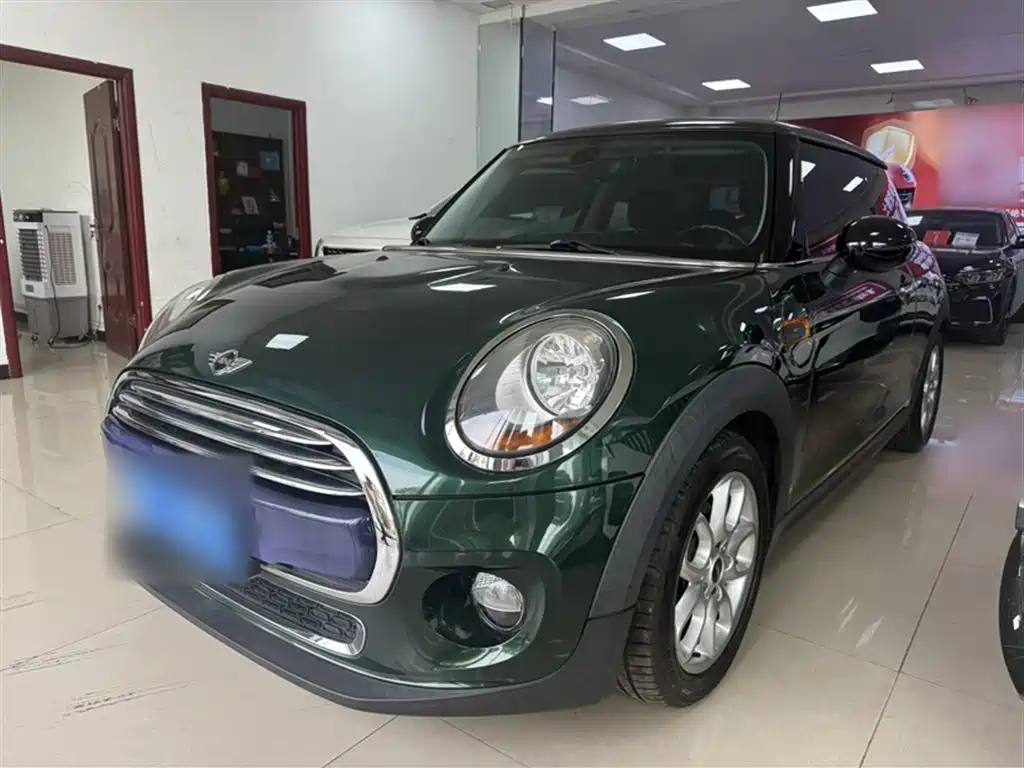 Mini Mini 2016