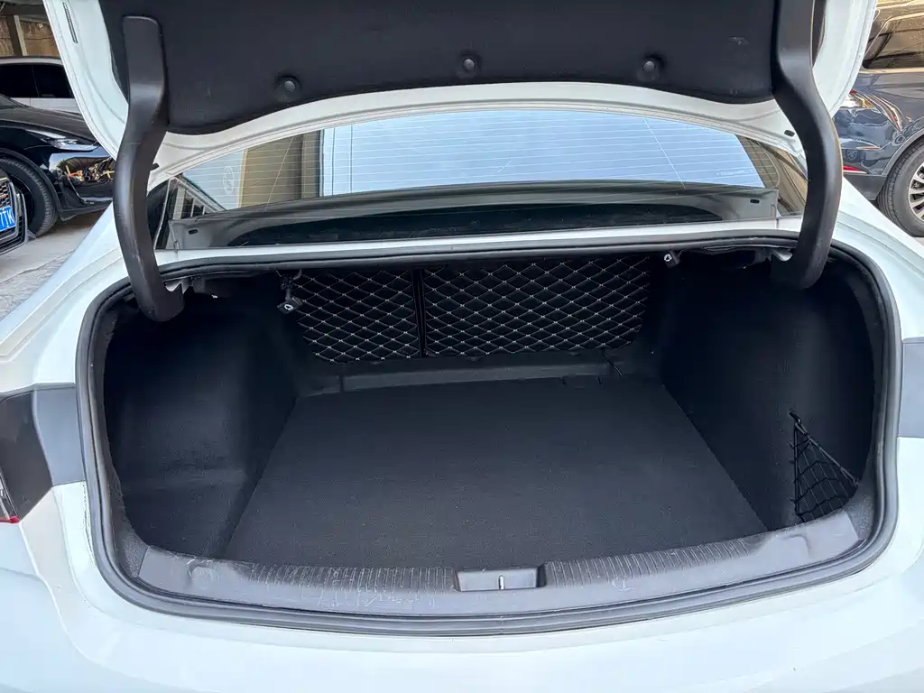 Buick Regal — миниатюра 11