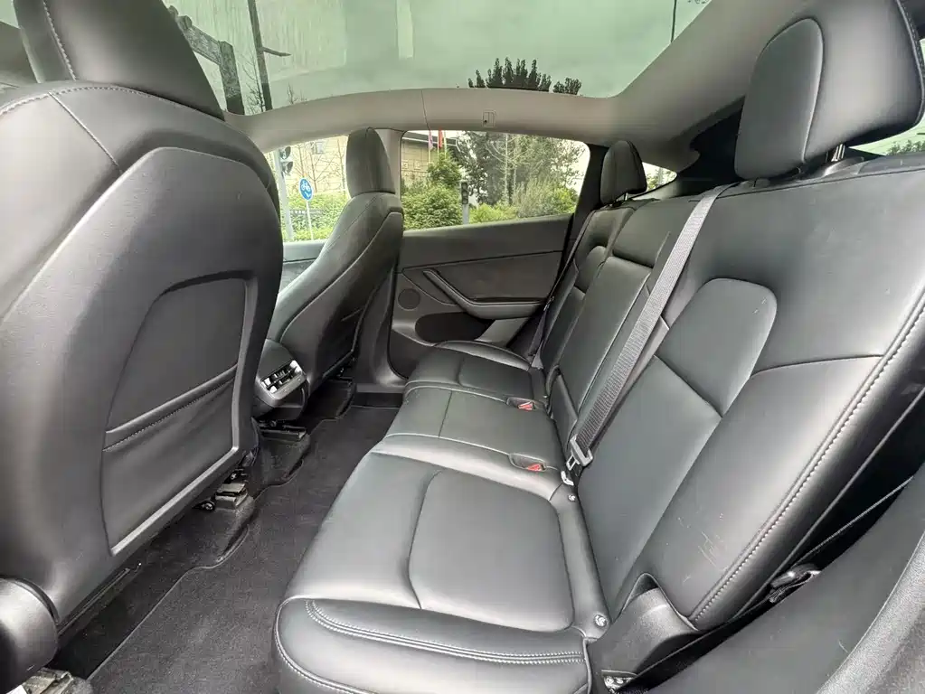 Tesla Model Y — миниатюра 4