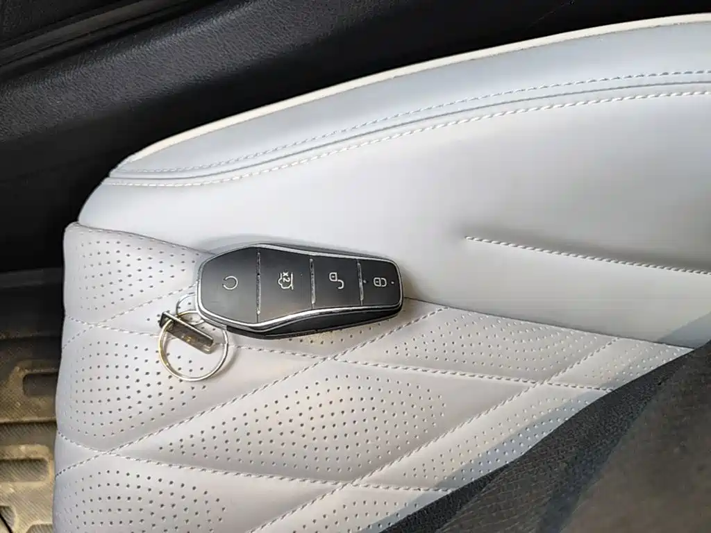 BYD Destroyer 05 2024 DM-i 55KM Luxury