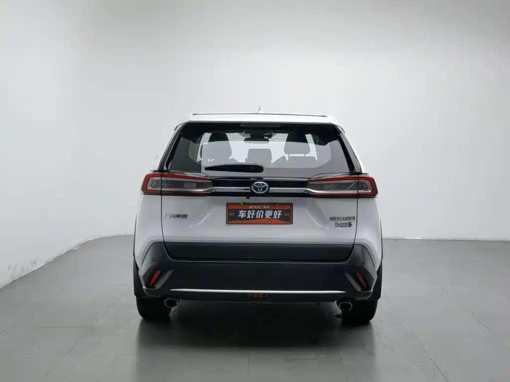 Toyota Wildlander New Energy — миниатюра 4