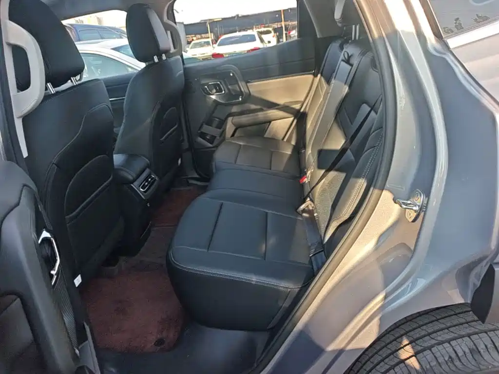 Haval Big Dog PLUS — миниатюра 17