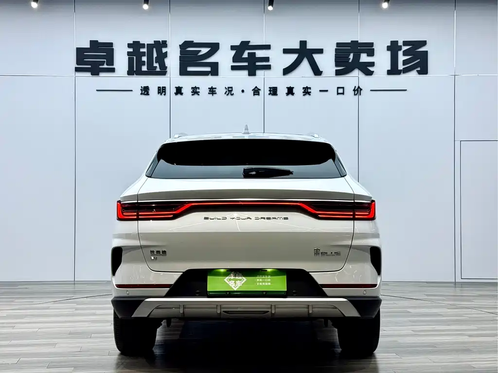 BYD SONGJIANG NEW ENERGY