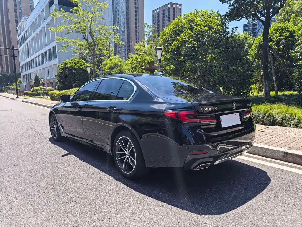 BMW 5 Series — миниатюра 5