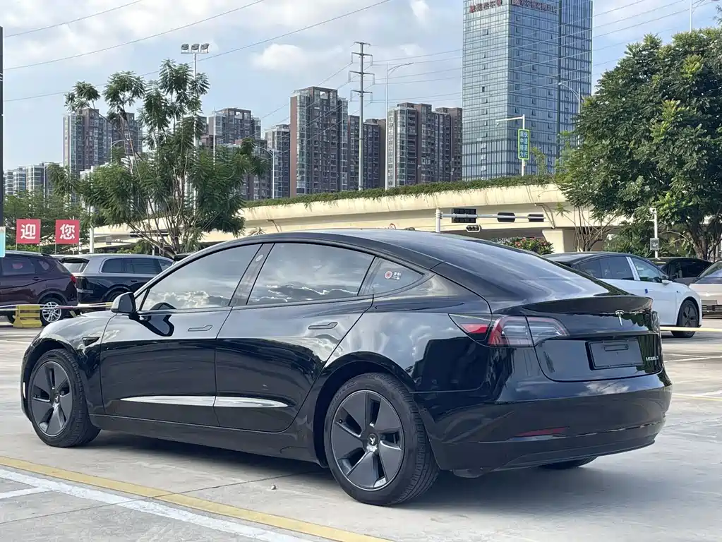 Tesla Model 3 — миниатюра 5