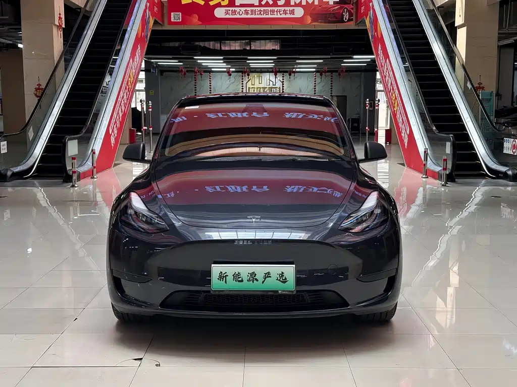 Tesla Model Y — миниатюра 2