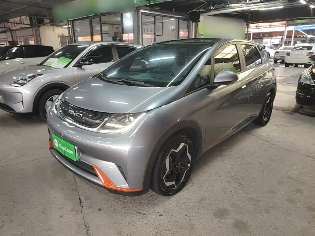 BYD Dolphin — миниатюра 2