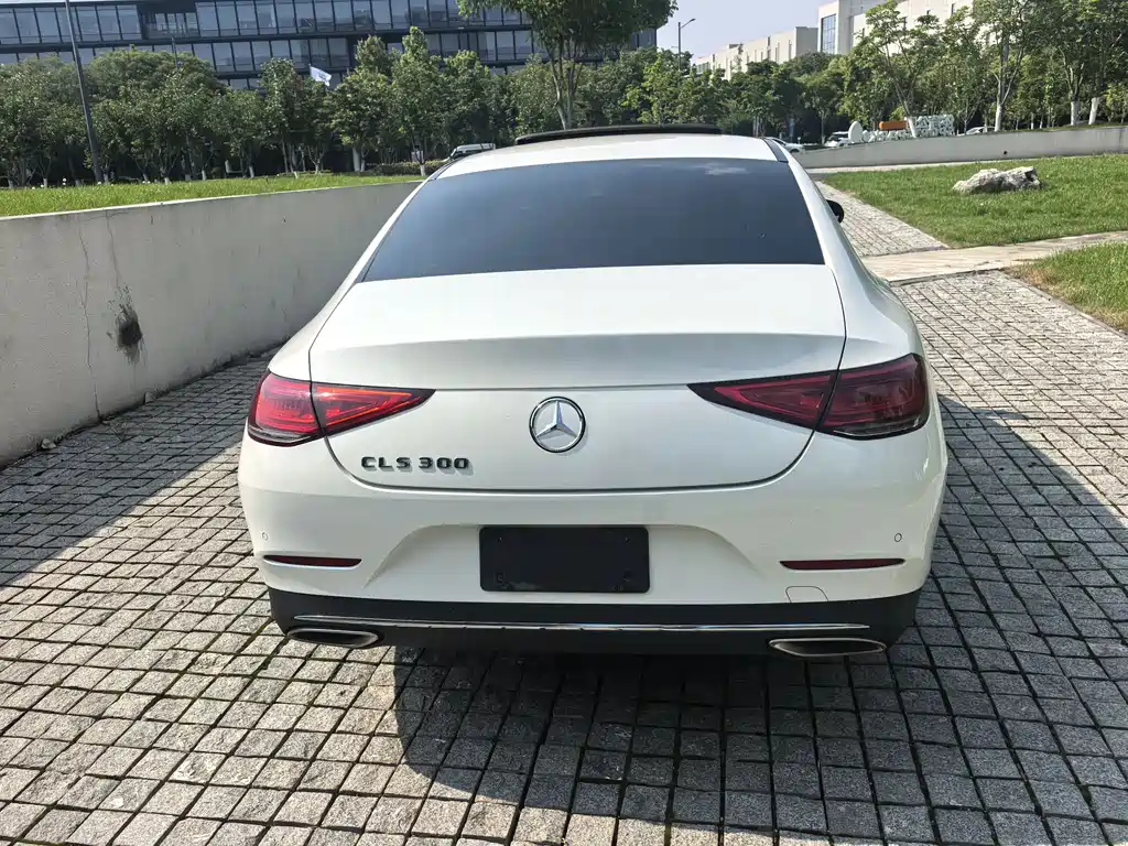 Mercedes-Benz CLS - фото 6