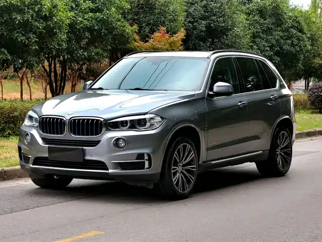 BMW  X5 NEW ENERGY 2018