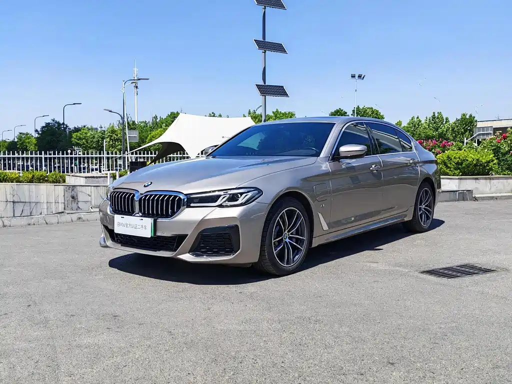 BMW 5 Series New Energy 2021