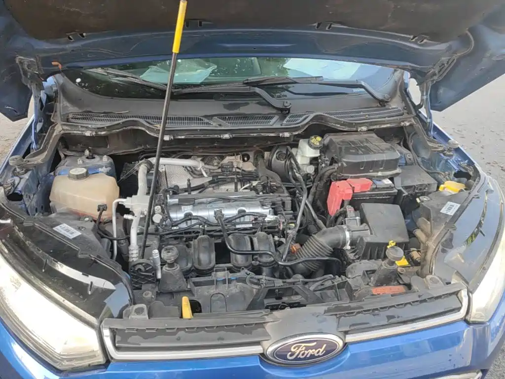 Ford Ecosport — миниатюра 17