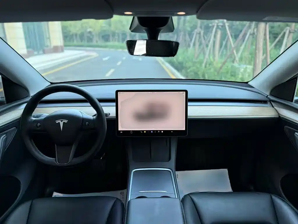 Tesla Model Y — миниатюра 10