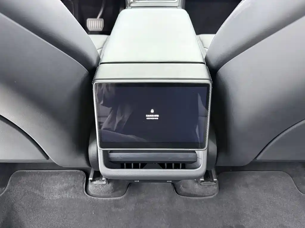Tesla Model Y — миниатюра 11