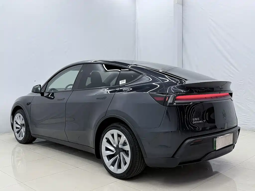 Tesla Model Y — миниатюра 14