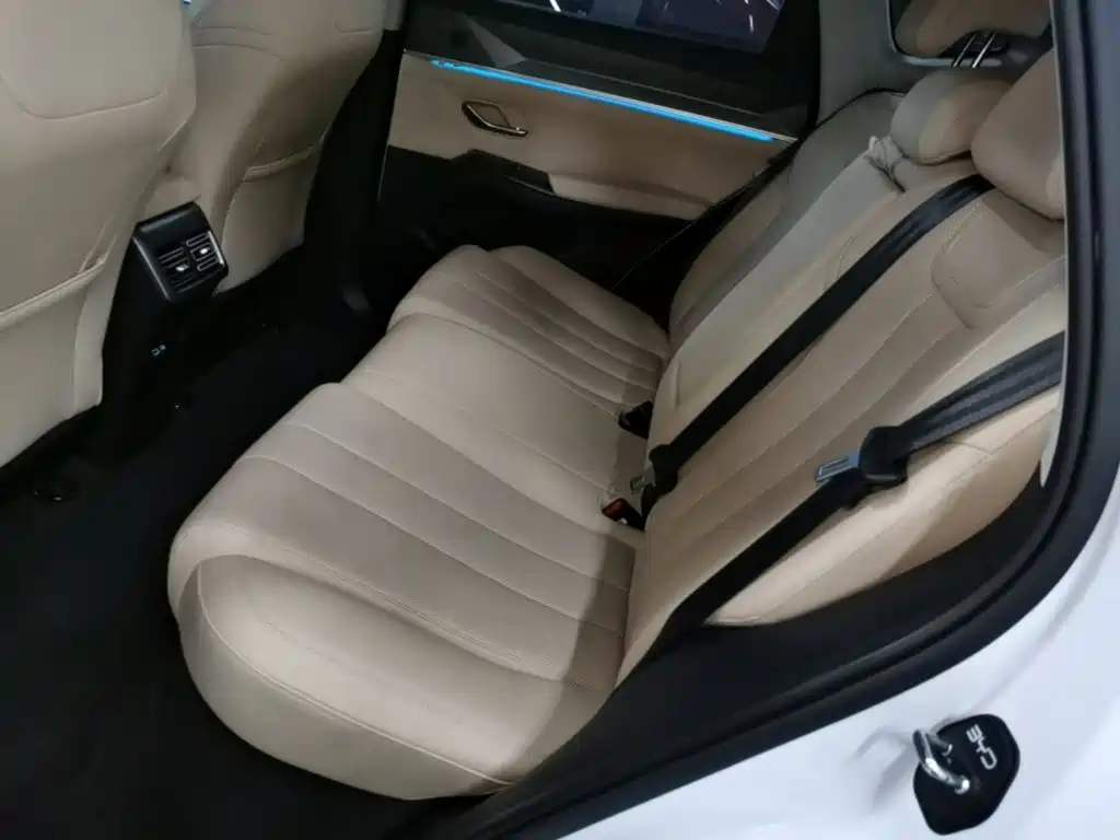 BYD Pro New Energy — миниатюра 17