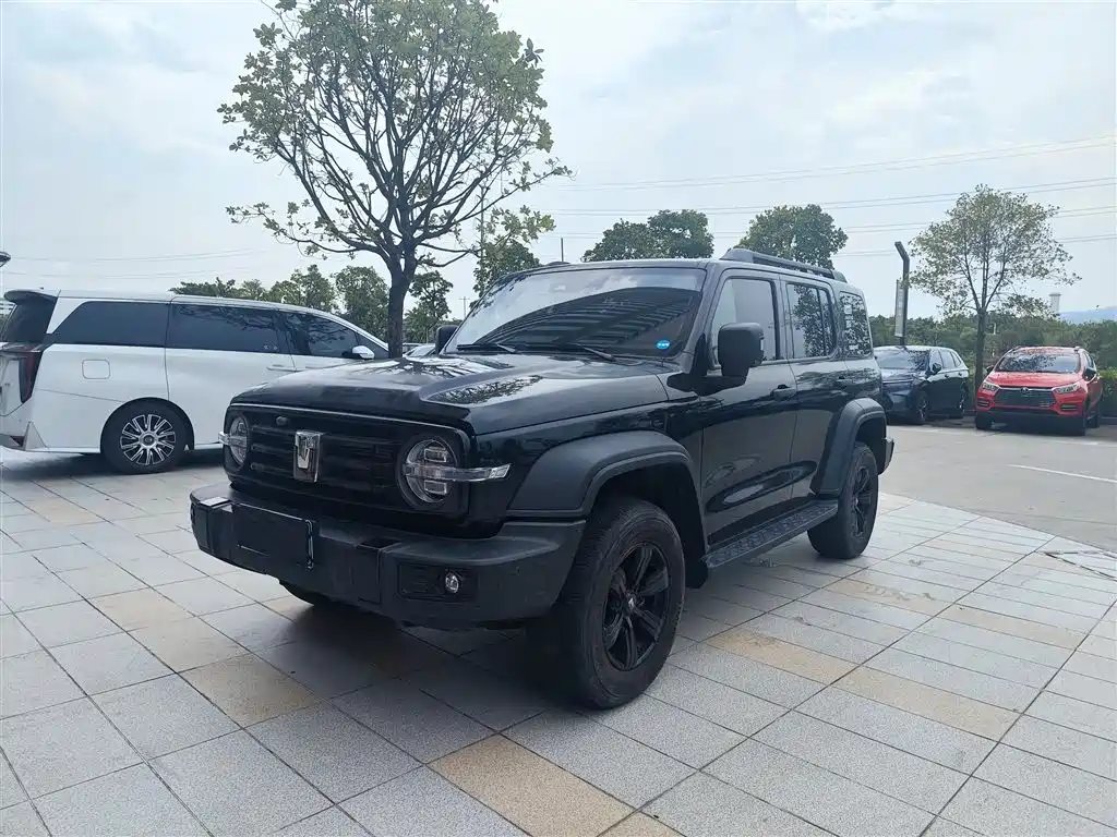 Tank Tank 300 2024