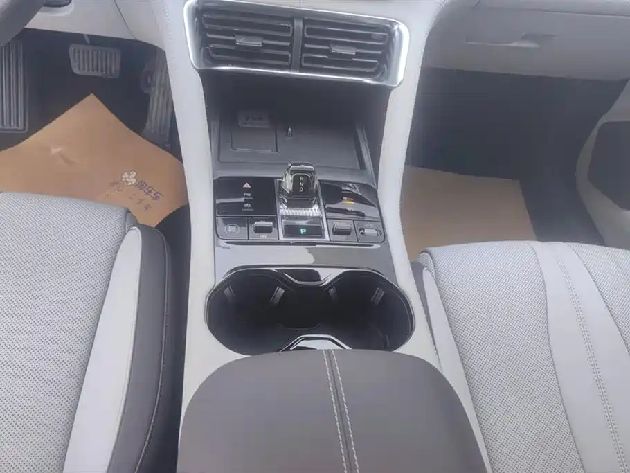 BYD SONGJIANG NEW ENERGY