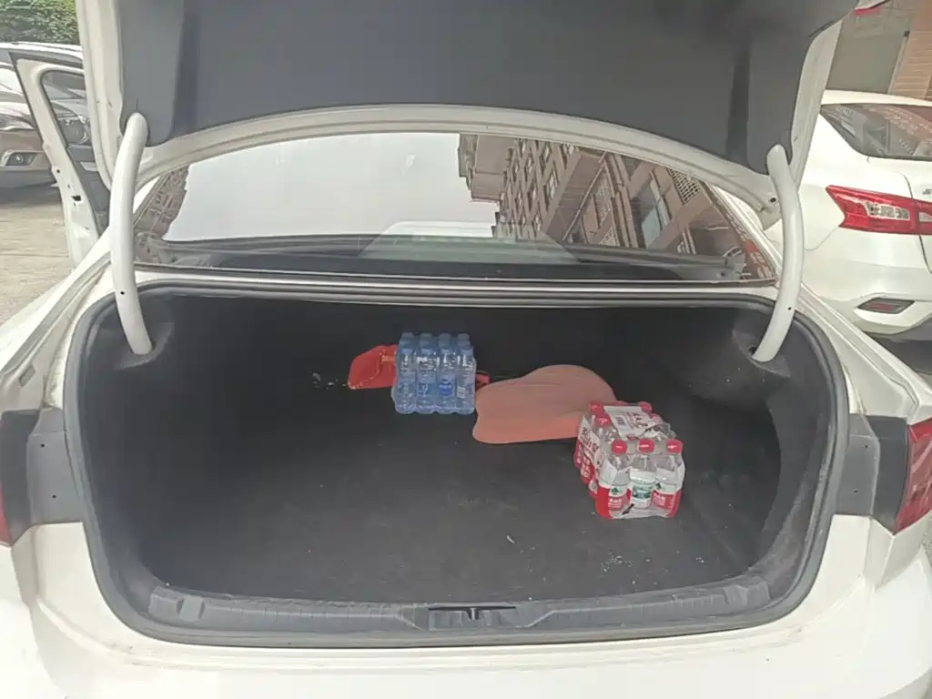 Volkswagen Lamando — миниатюра 19