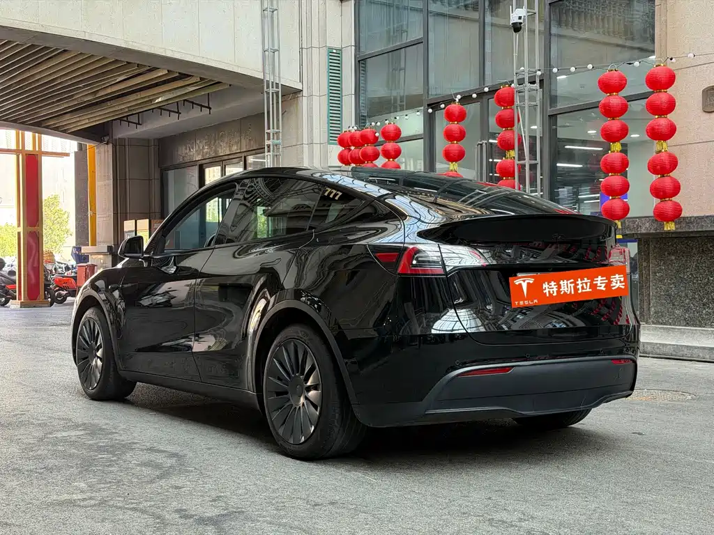Tesla Model Y — миниатюра 11
