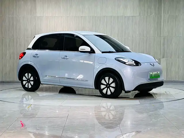 2024 Wuling Motors Binguo