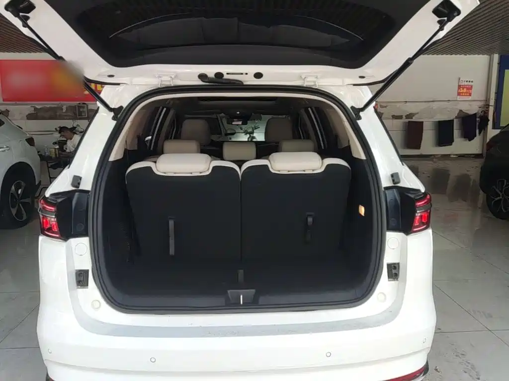 BYD MAX New Energy — миниатюра 19