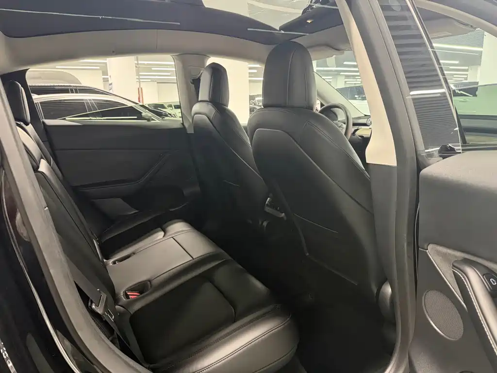 Tesla Model Y — миниатюра 7
