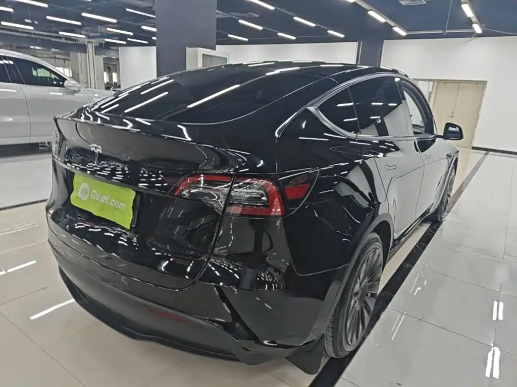 Tesla Model Y — миниатюра 7