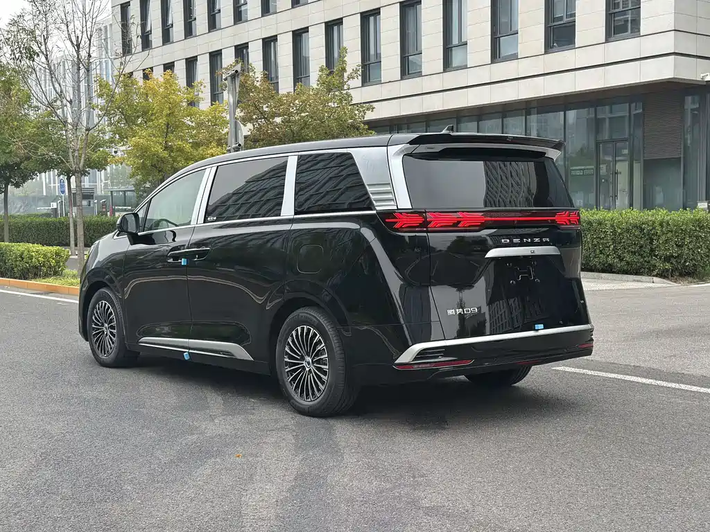 Denza Denza D9 — миниатюра 10