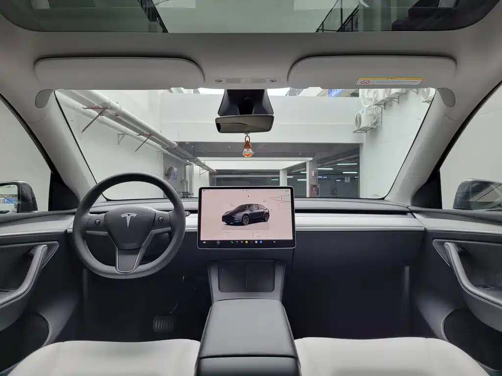 Tesla Model Y — миниатюра 19