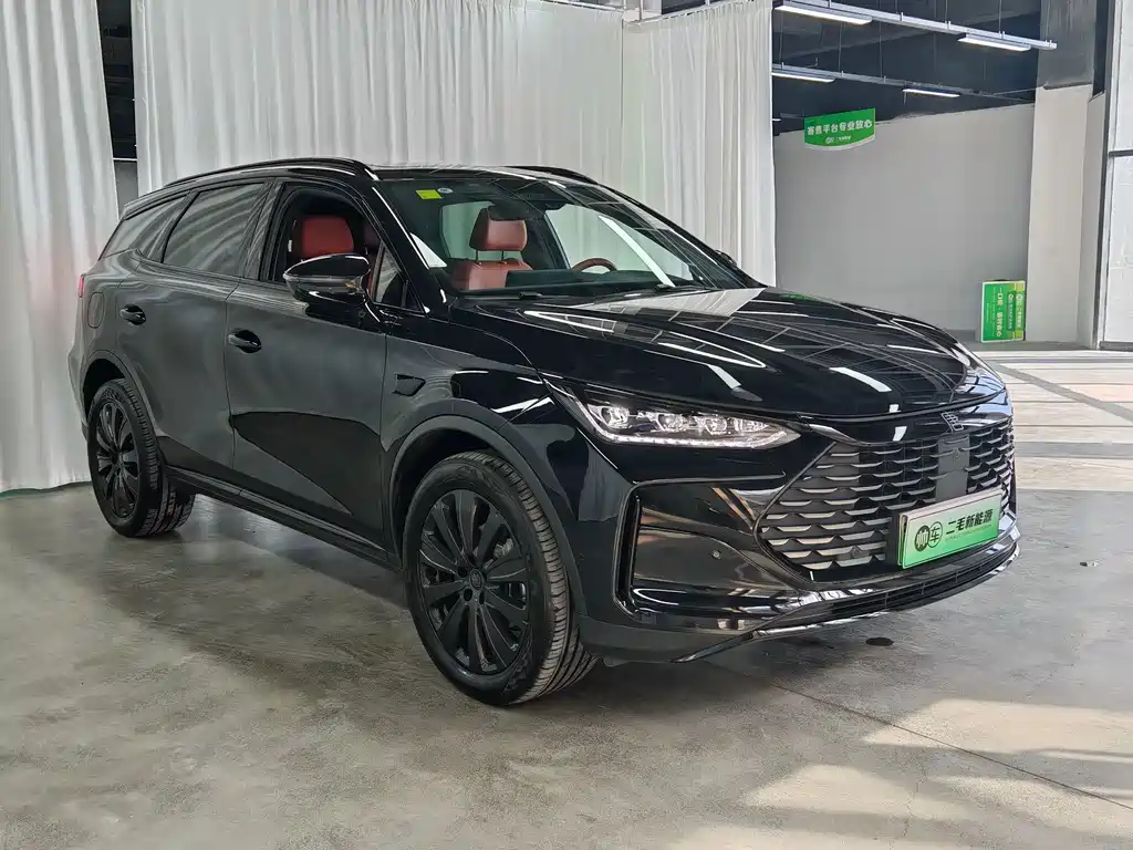 BYD Tang New Energy — миниатюра 3