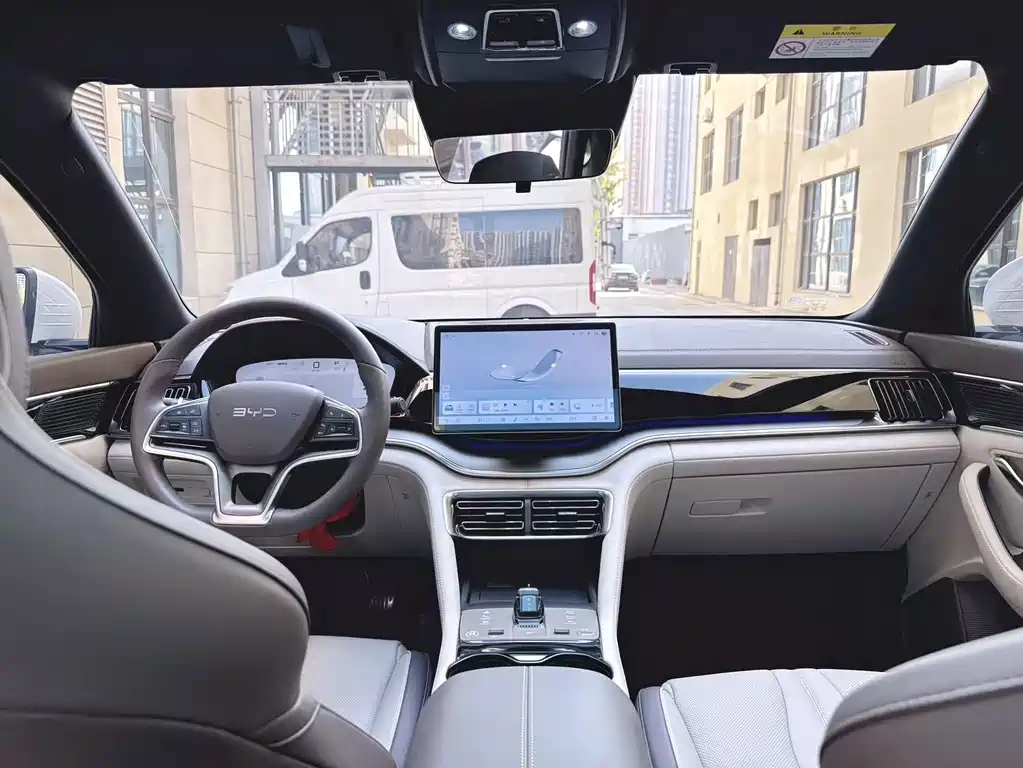 BYD PLUS New Energy — миниатюра 11