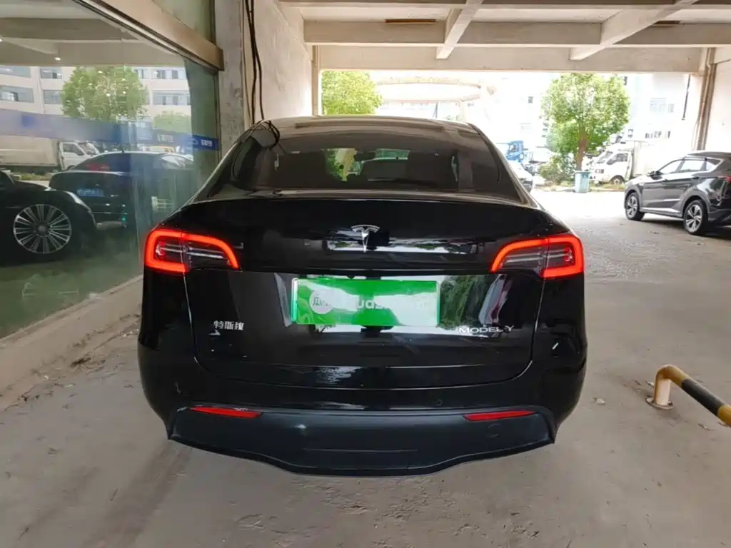 Tesla Model Y — миниатюра 6