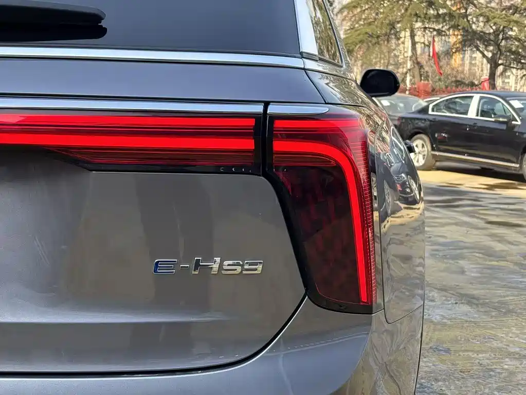 Hongqi HONGQI E HS9