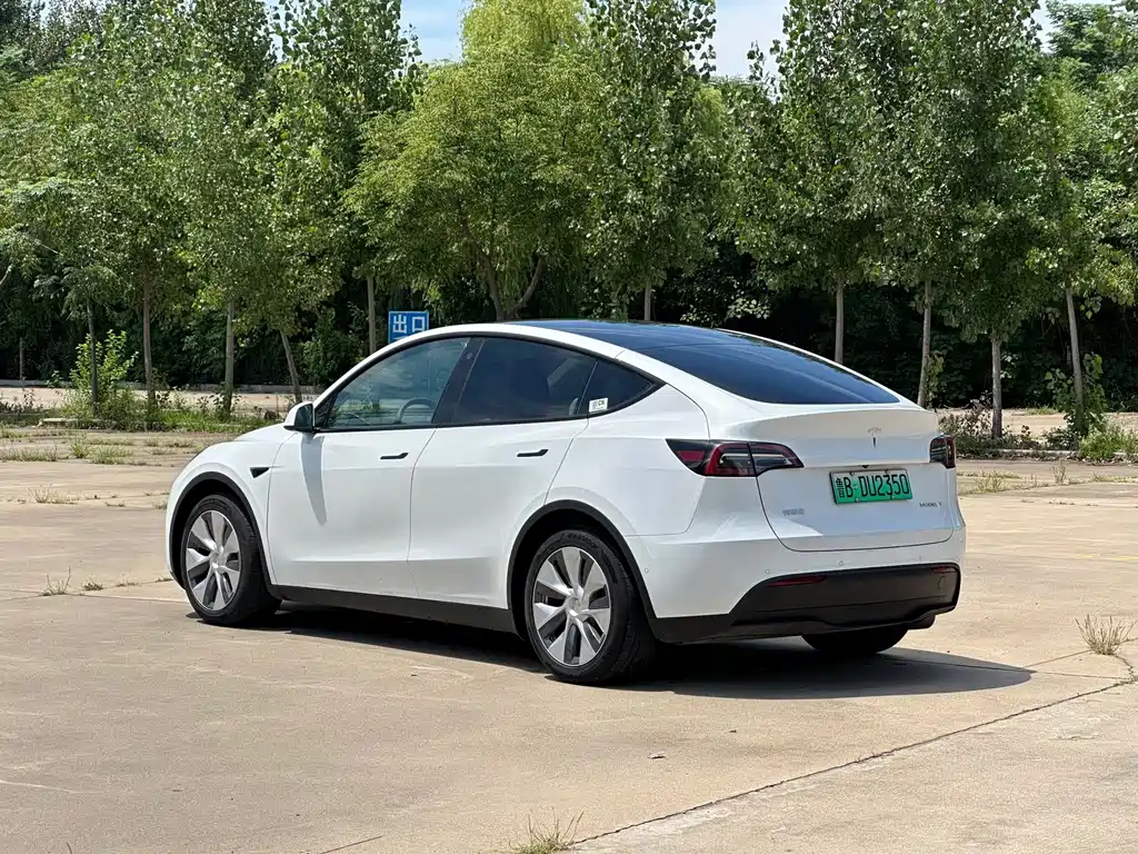 Tesla Model Y — миниатюра 4