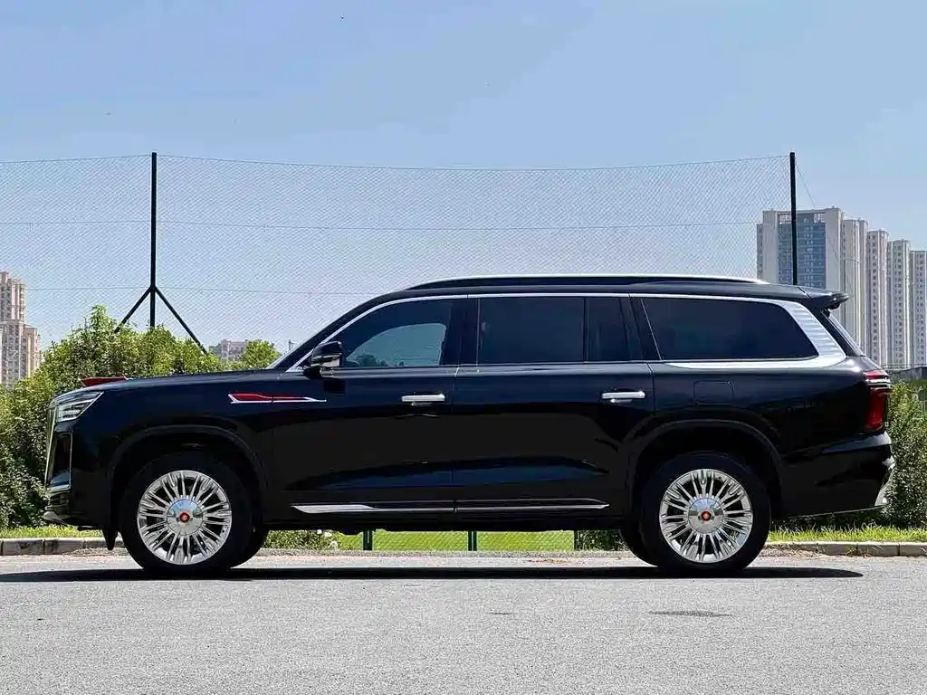 Hongqi Hongqi Golden Sunflower Guoyao — миниатюра 12