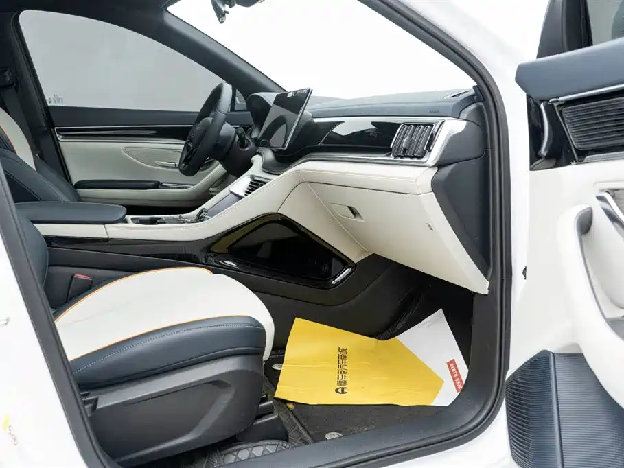 BYD SONGJIANG NEW ENERGY