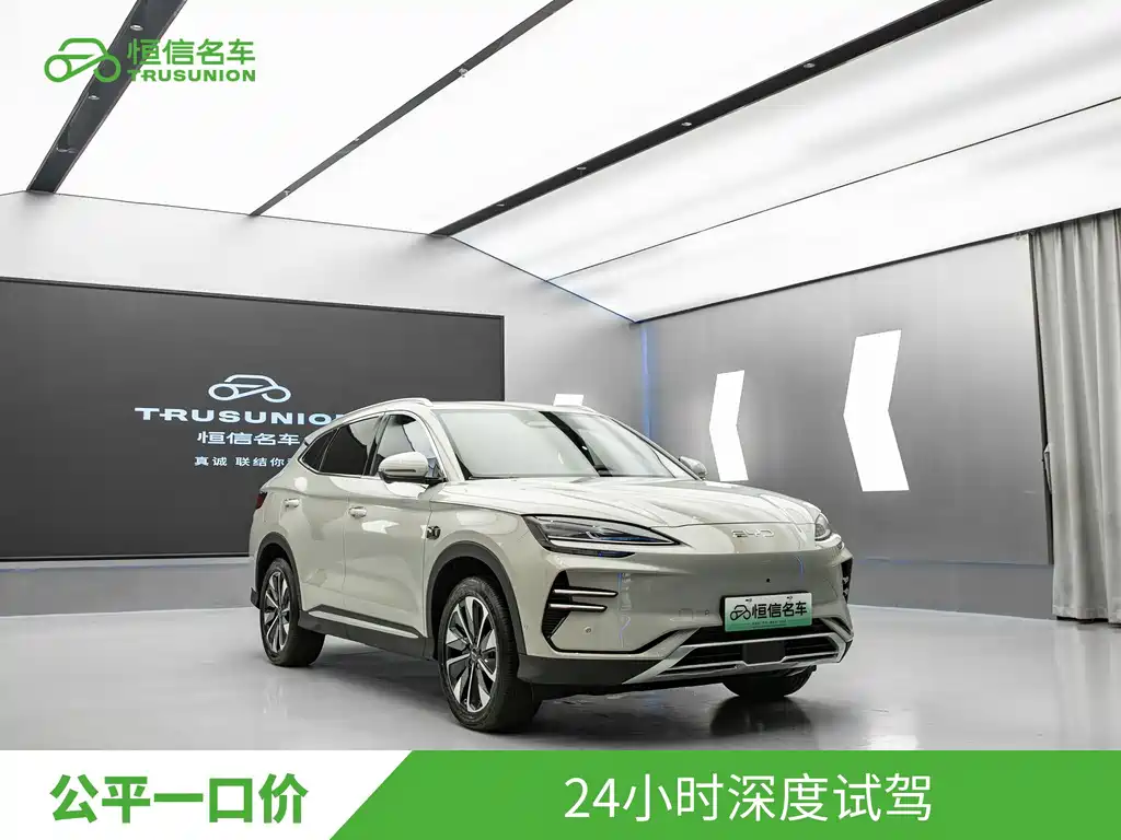 BYD PLUS New Energy — миниатюра 3