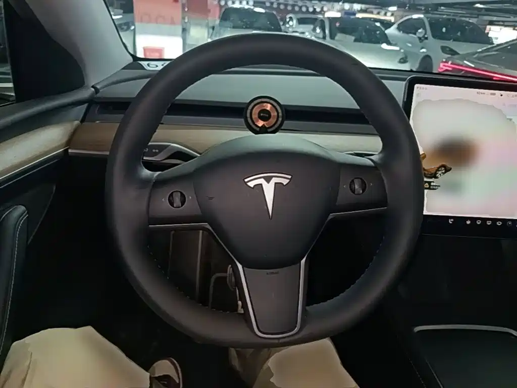 Tesla Model Y — миниатюра 11