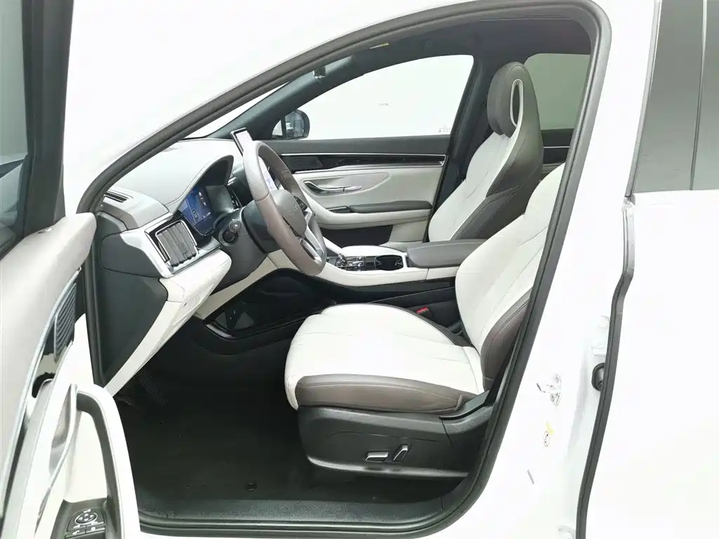 BYD SONGJIANG NEW ENERGY