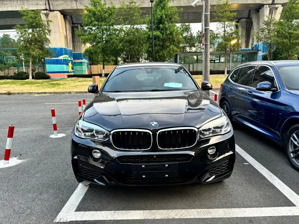BMW X6 — миниатюра 2