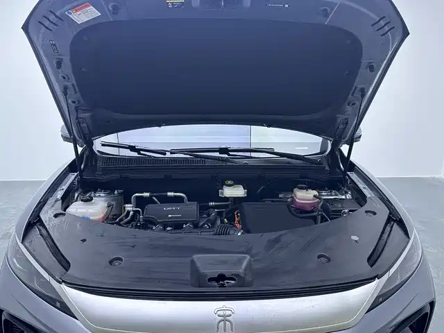 BYD Pro New Energy — миниатюра 9
